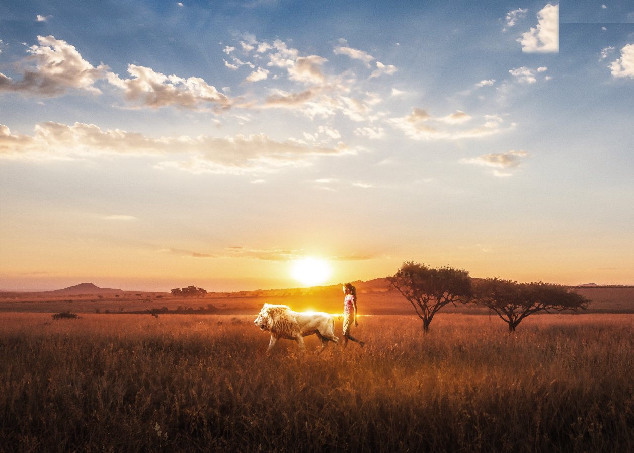 Mia And The White Lion 8k