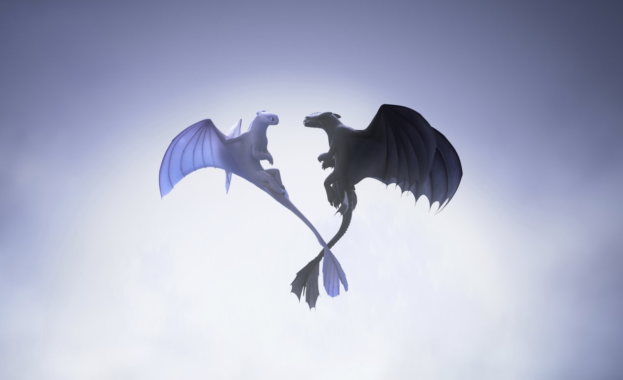Night And Light Fury