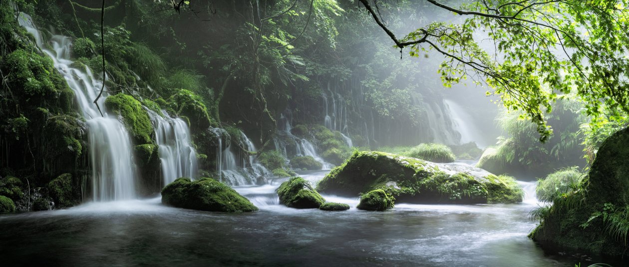 Spring Waterfall Stone Fog Mist Green Forest 8k