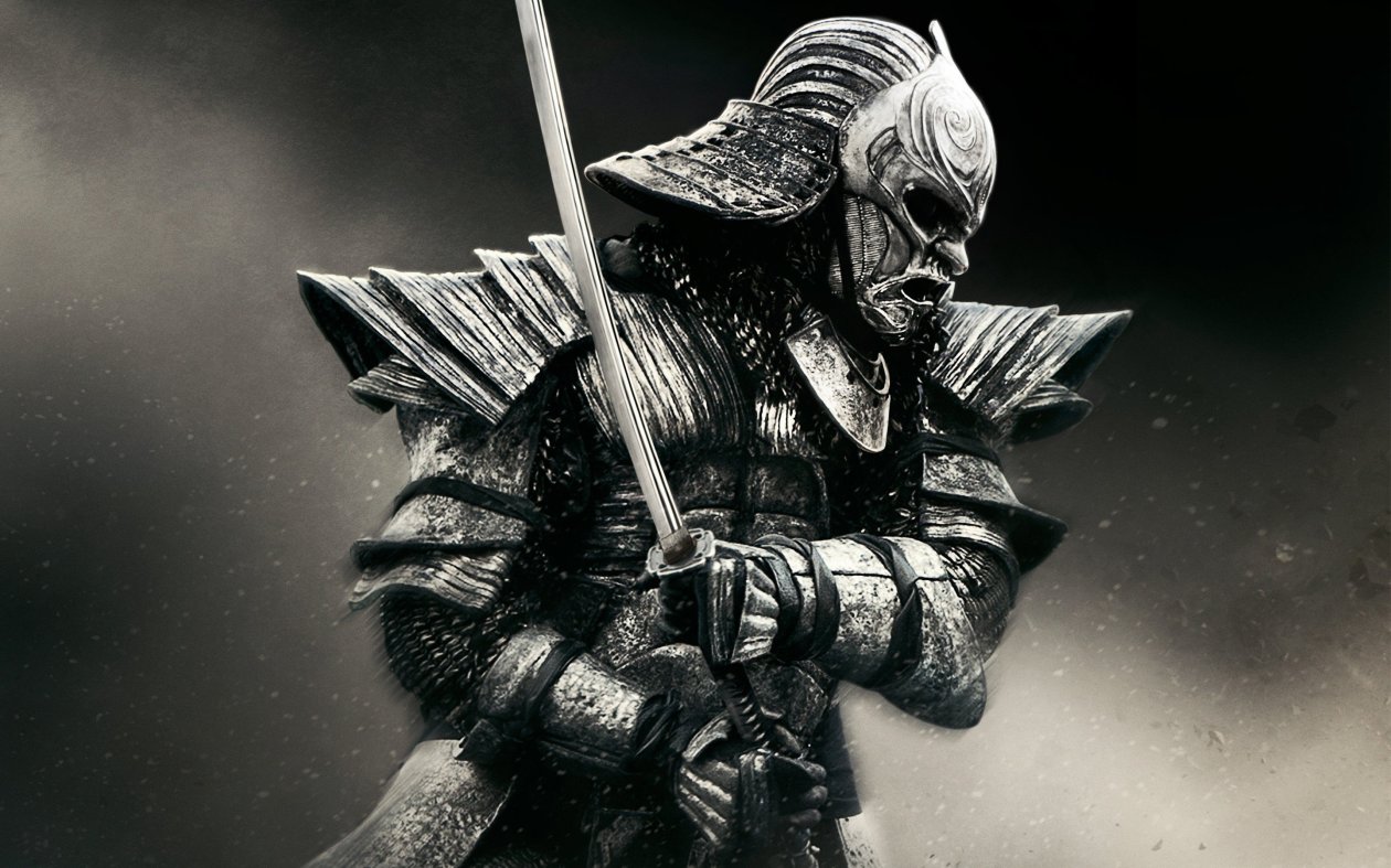 Warrior In Ronin