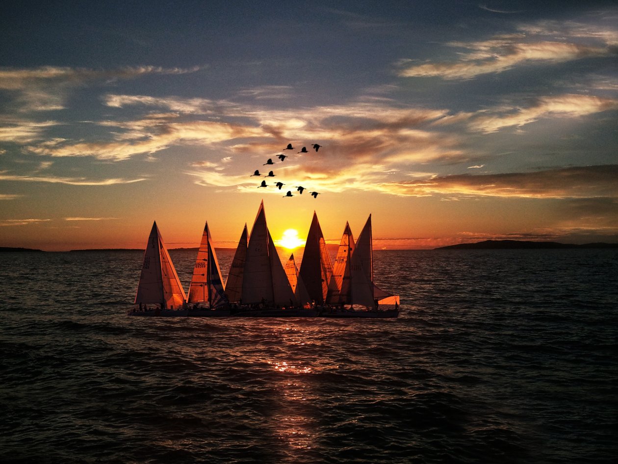 Sailboats Seascape Landscape