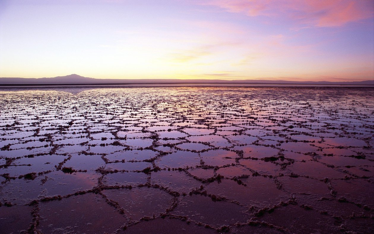 Salt Lake In Chile