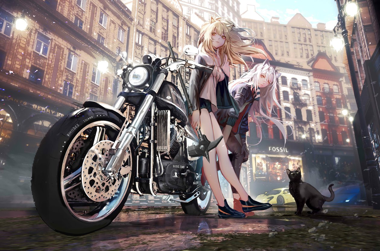 Asian Anime Girl With Bike Alongside Cat