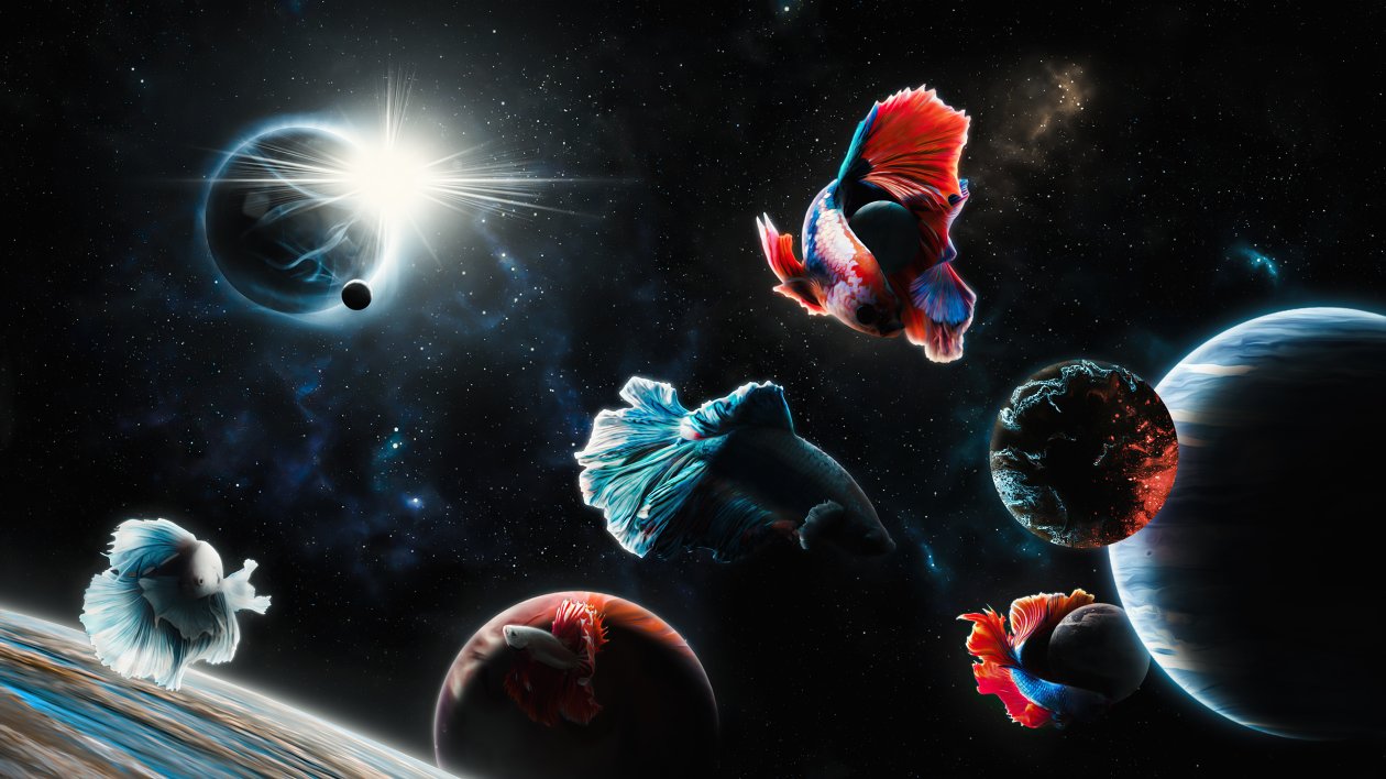 Space Fish