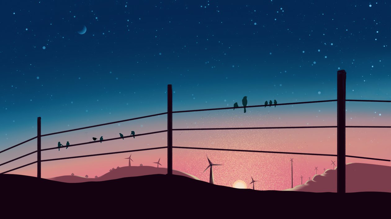 Birds Sitting On Powerline 4k