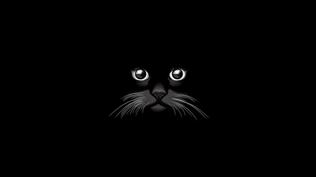 Cat Vector