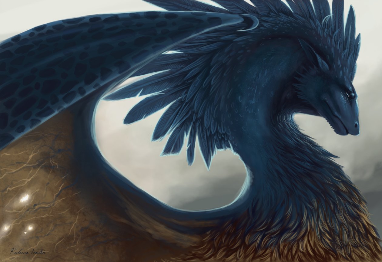 Dragon Fantasy Art Feathers