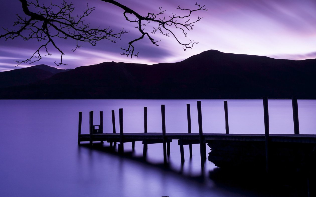 Purple Dusk