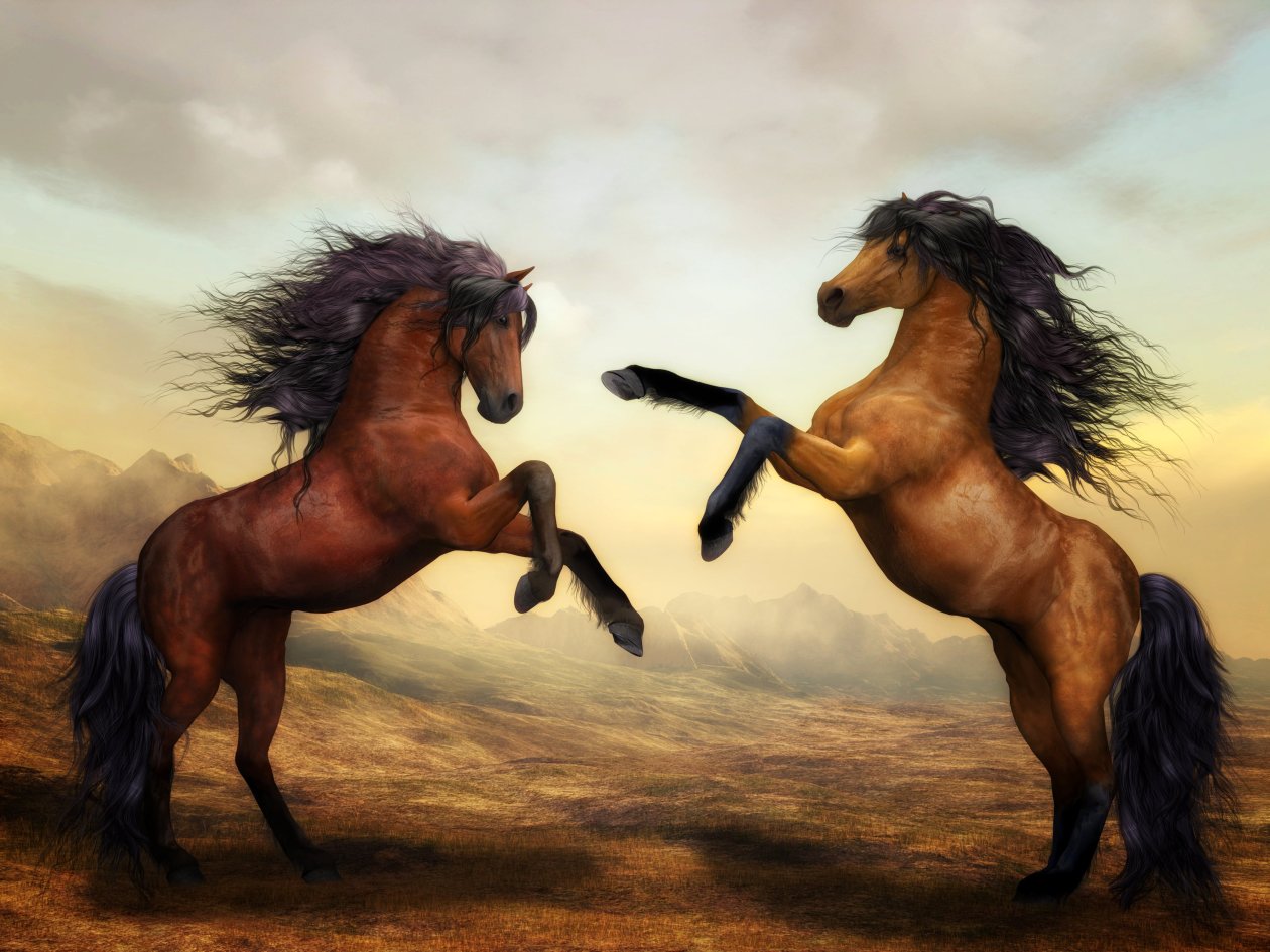 Arabian Horse Artistic 4k