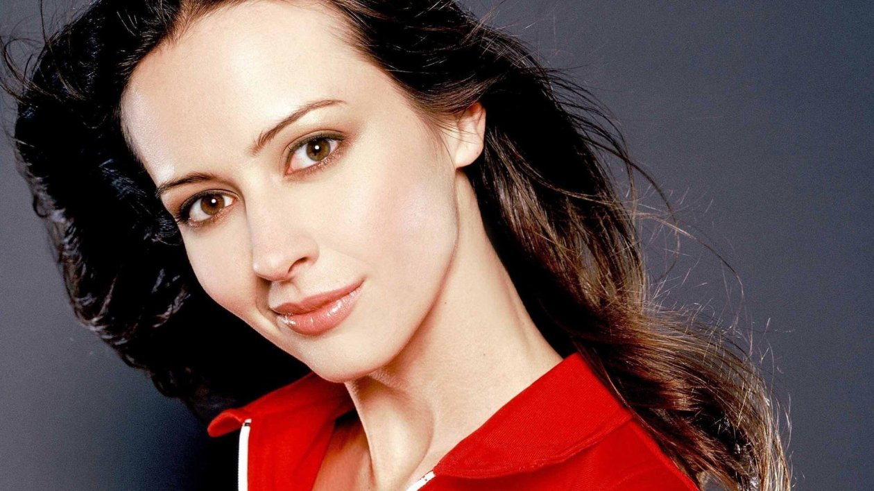 Amy Acker Actress