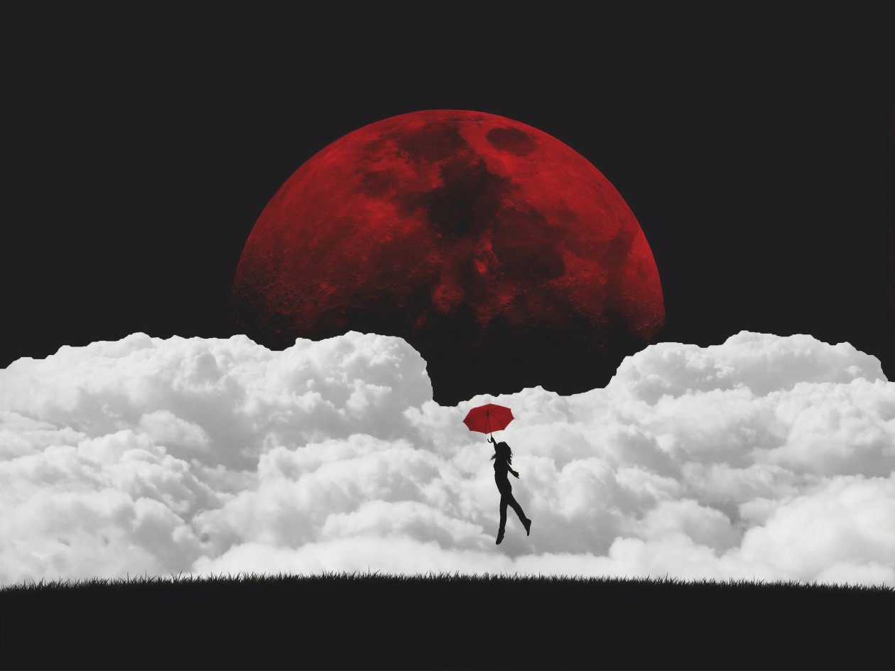 Fly Me To The Moon