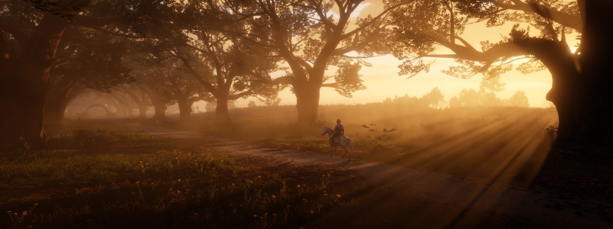 Red Dead Redemption 2 The Path 5k