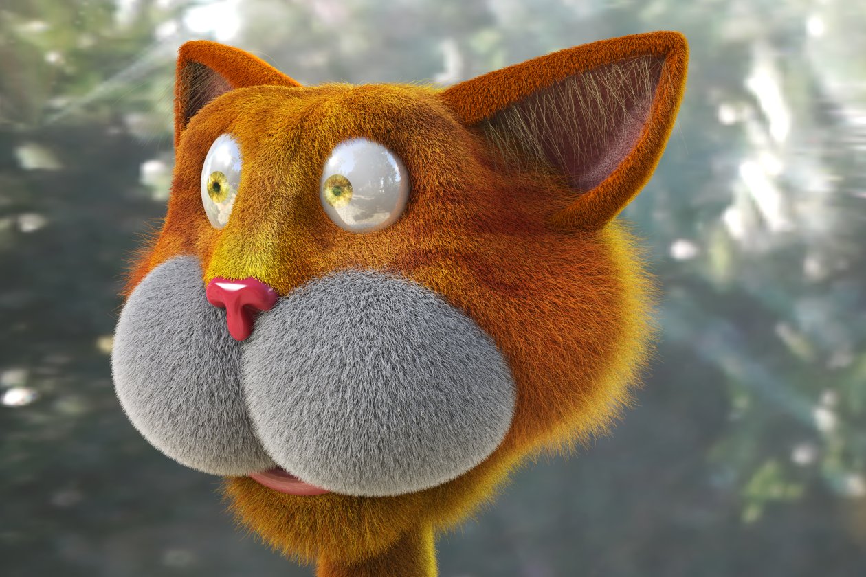 Cat 3d Saying