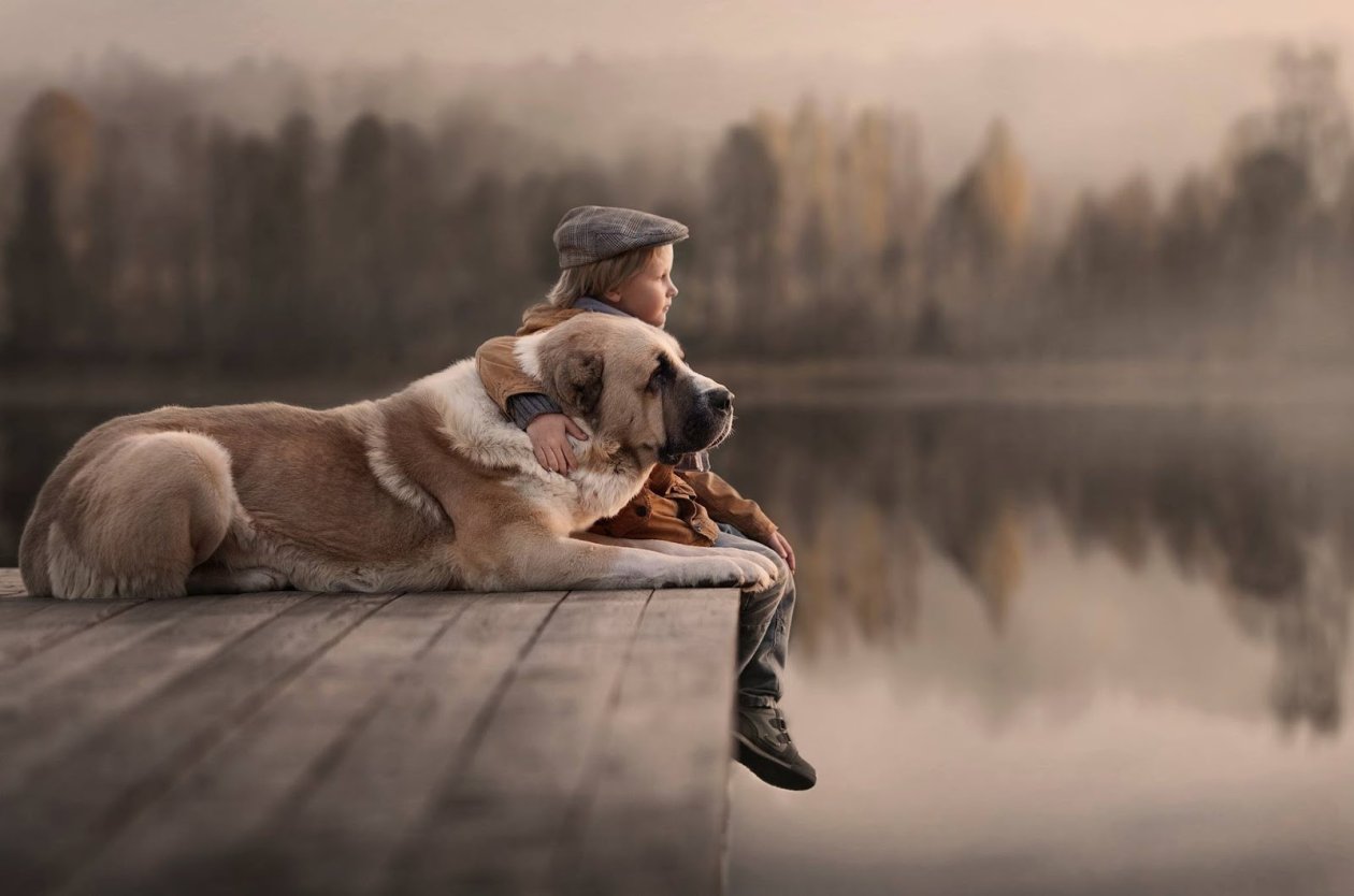Kids And Dogs