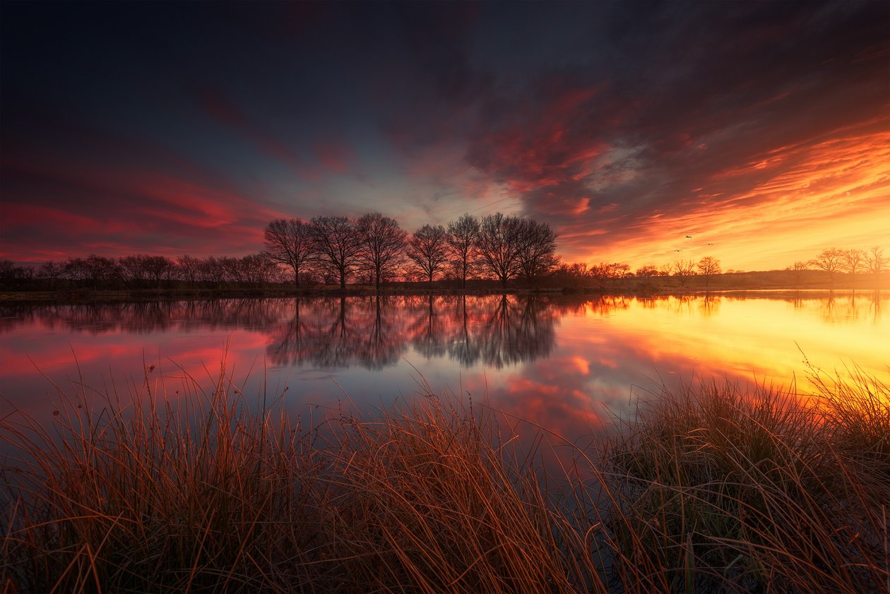 France Spring Lake Grass