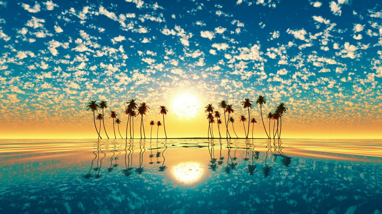 Tree Horizon Sea Sunset 4k
