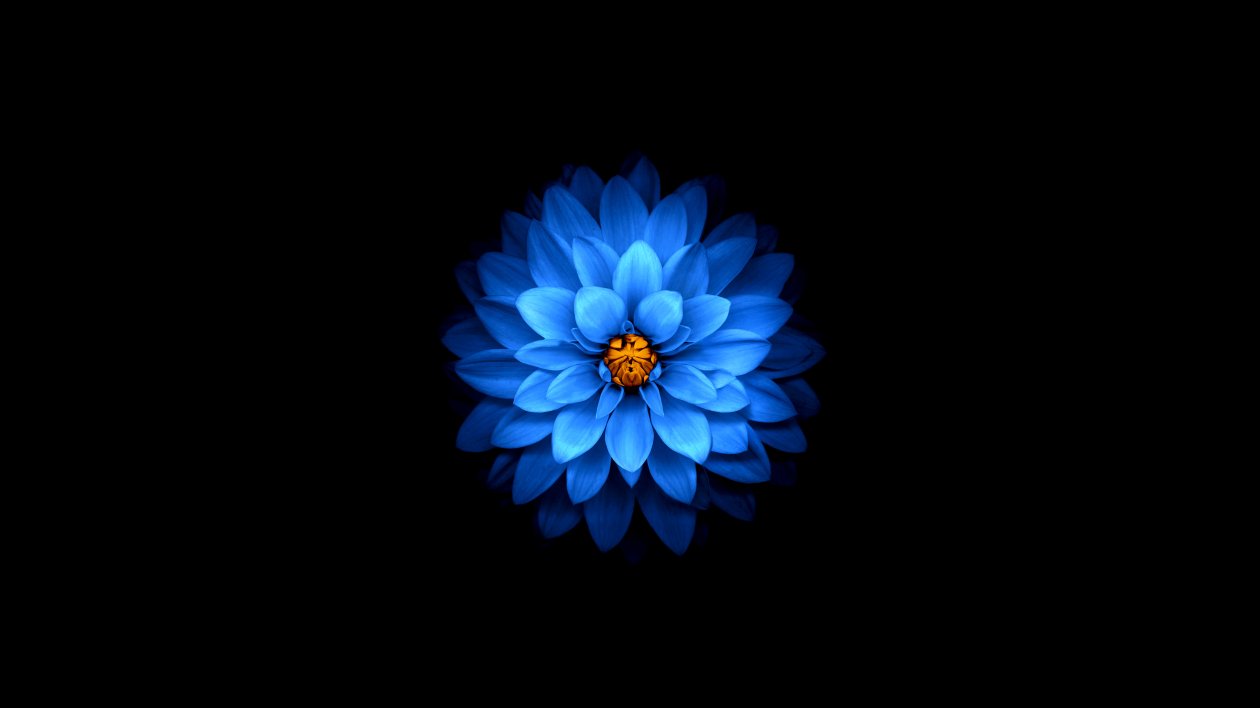 Flower Mod