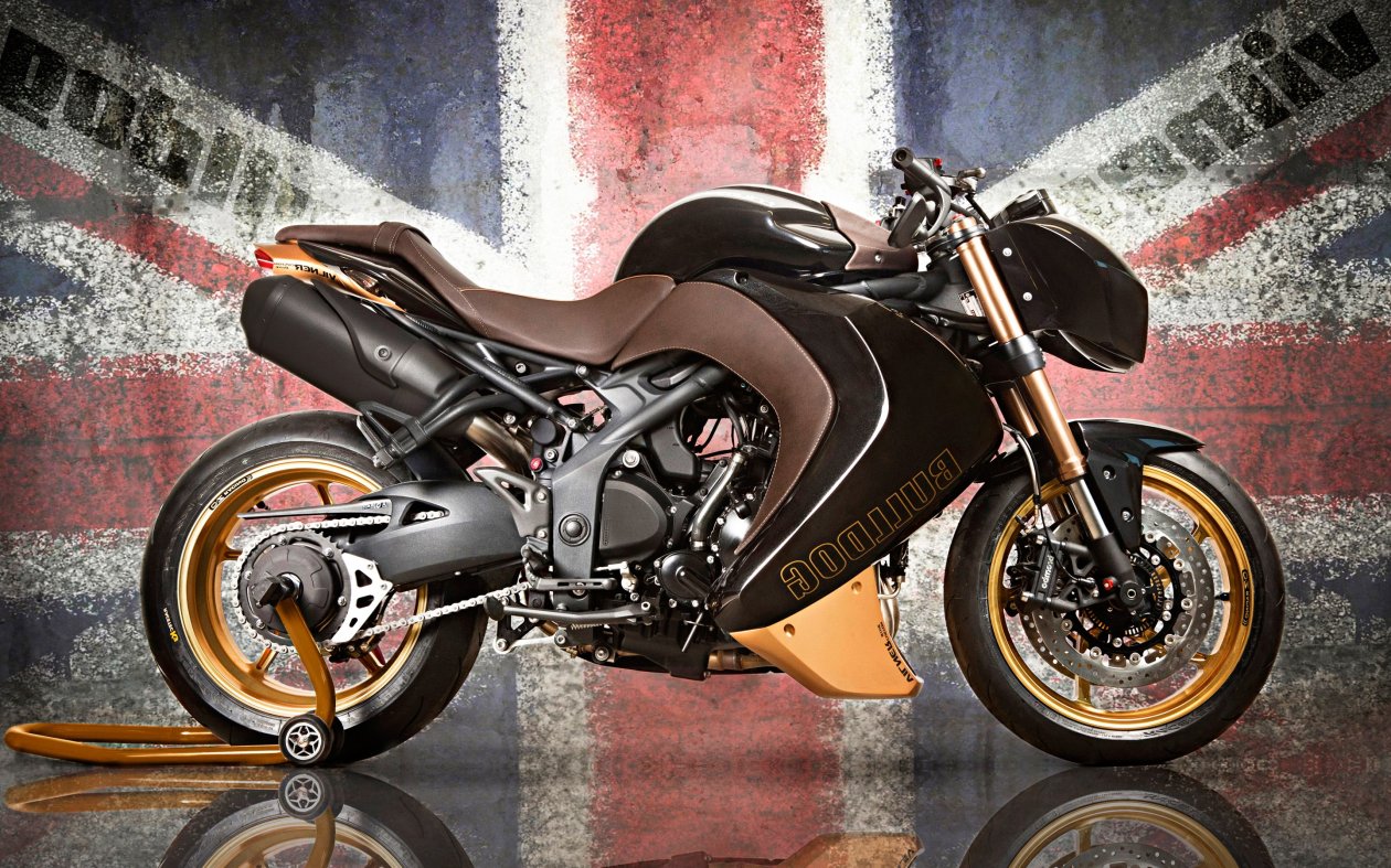 Vilner Triump Speed Triple Bulldog