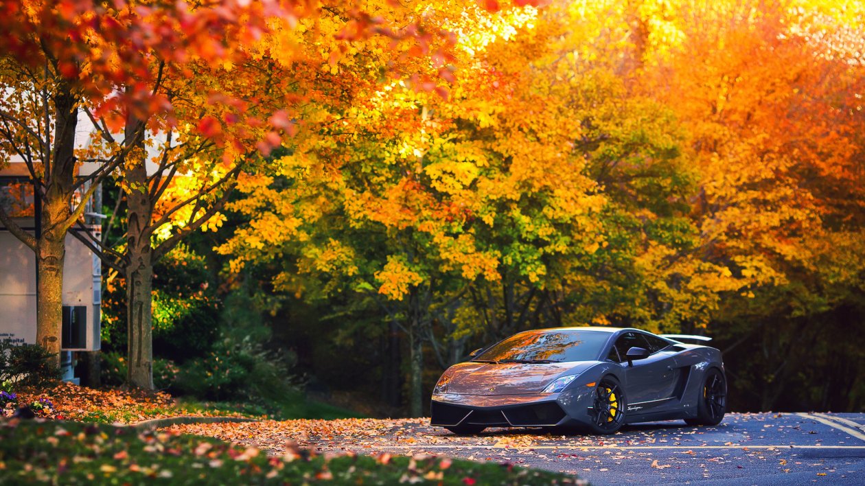 Lamborghini Autumn Gallardo