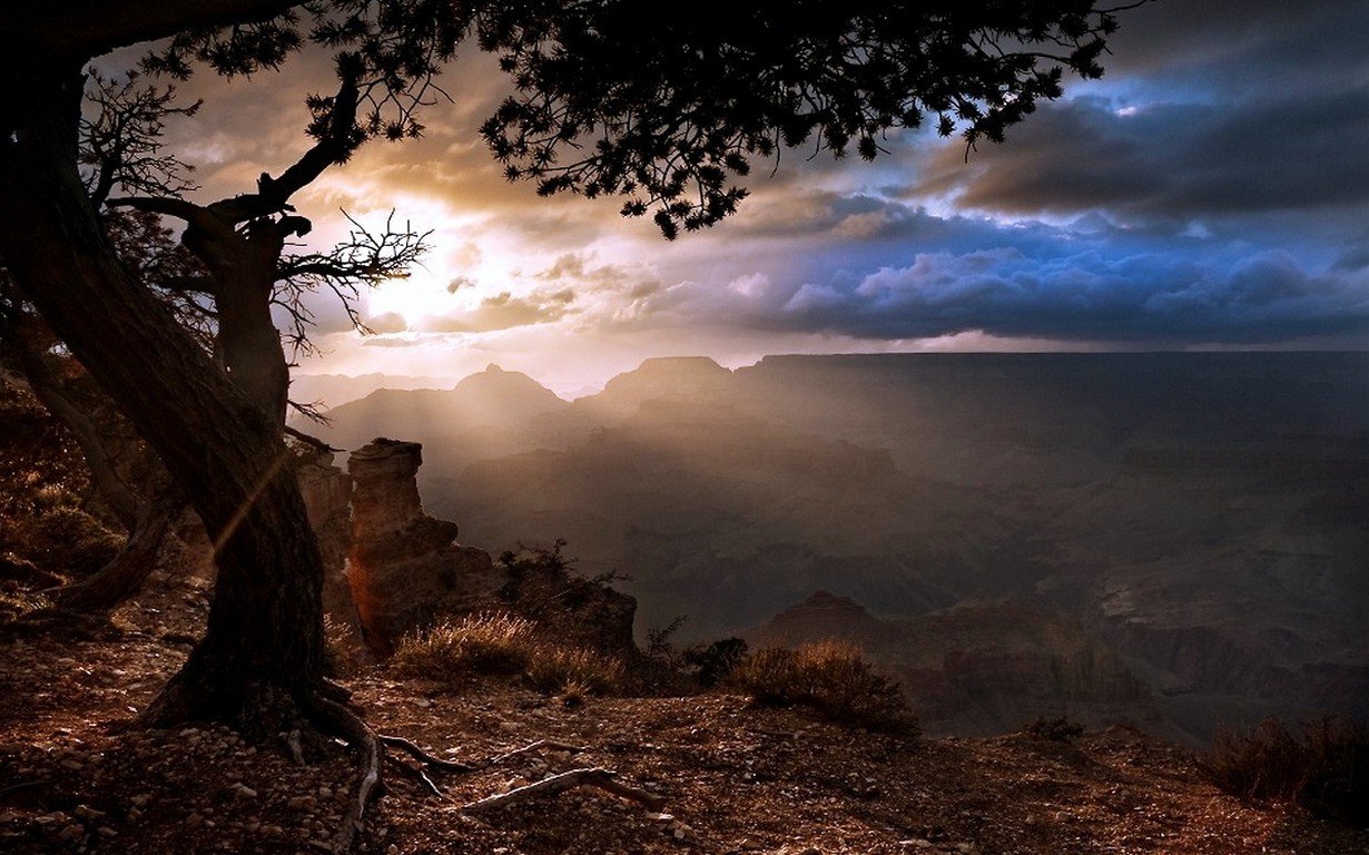 Landscape Background