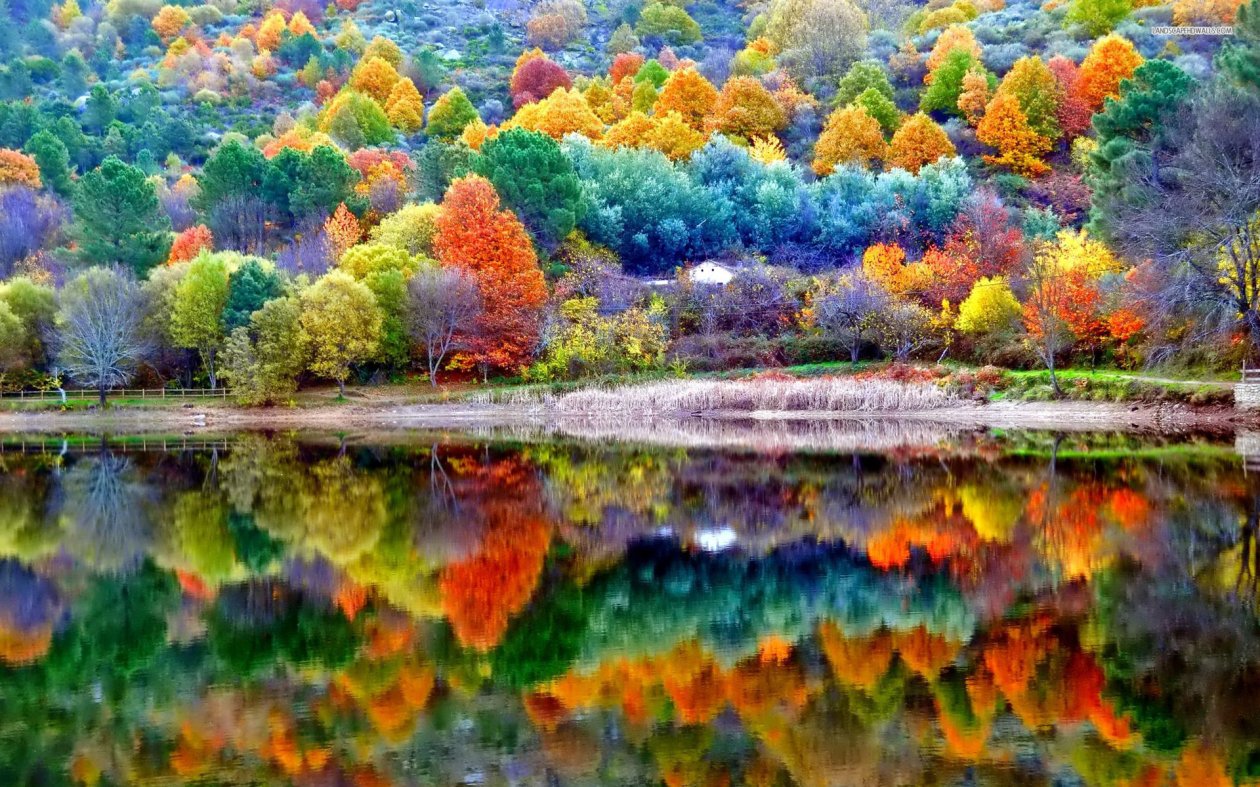 Autumn Scenery