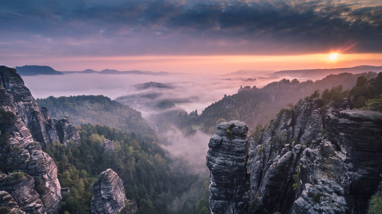 Morning Forest Mountains