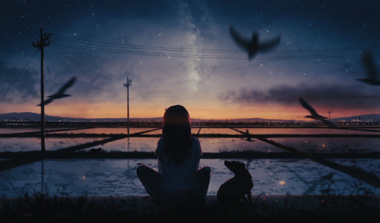 The Sunset And Solitary Flight Fly Together