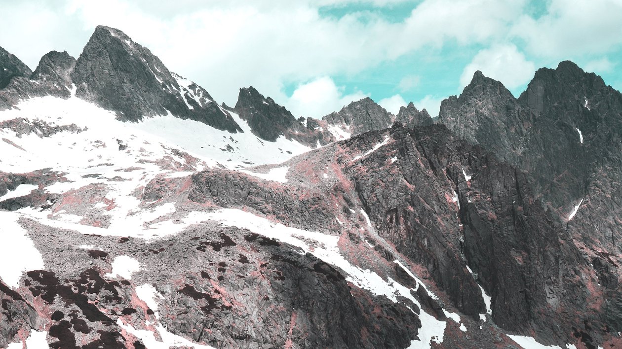 Red Flower Field Autumn In Mountains 4k