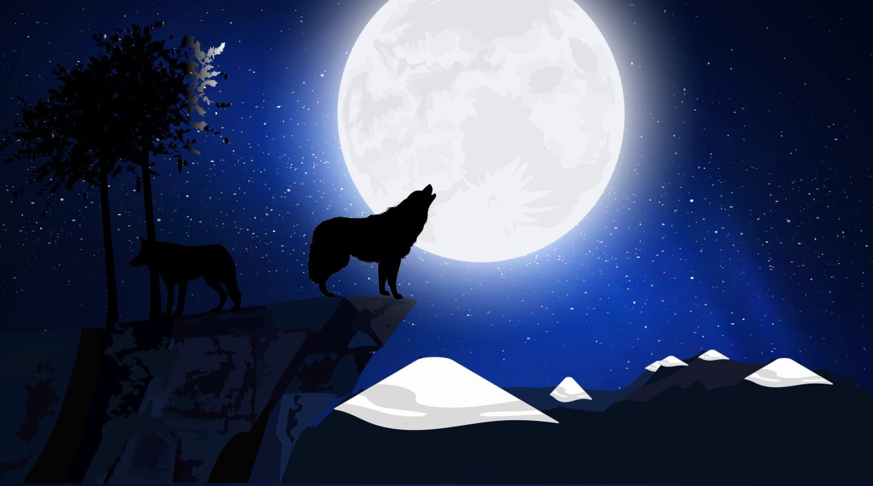 Wolf Howling