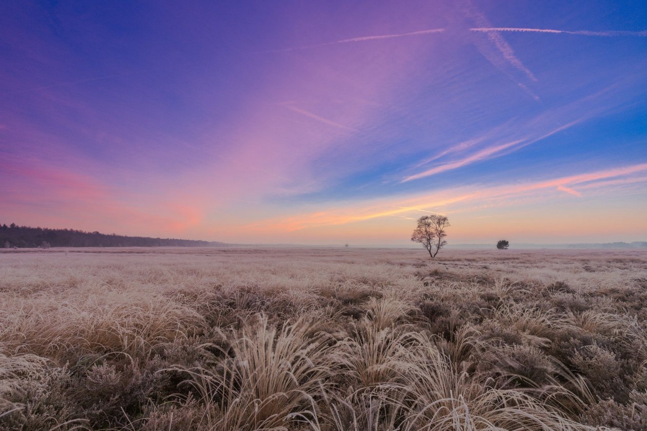 Beautiful Landscape Sky