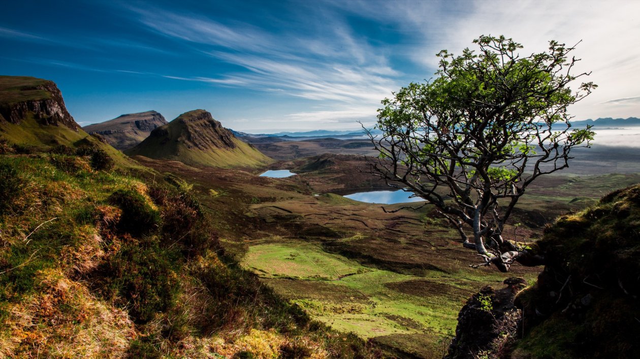 Scotland Trees Mountains Lake