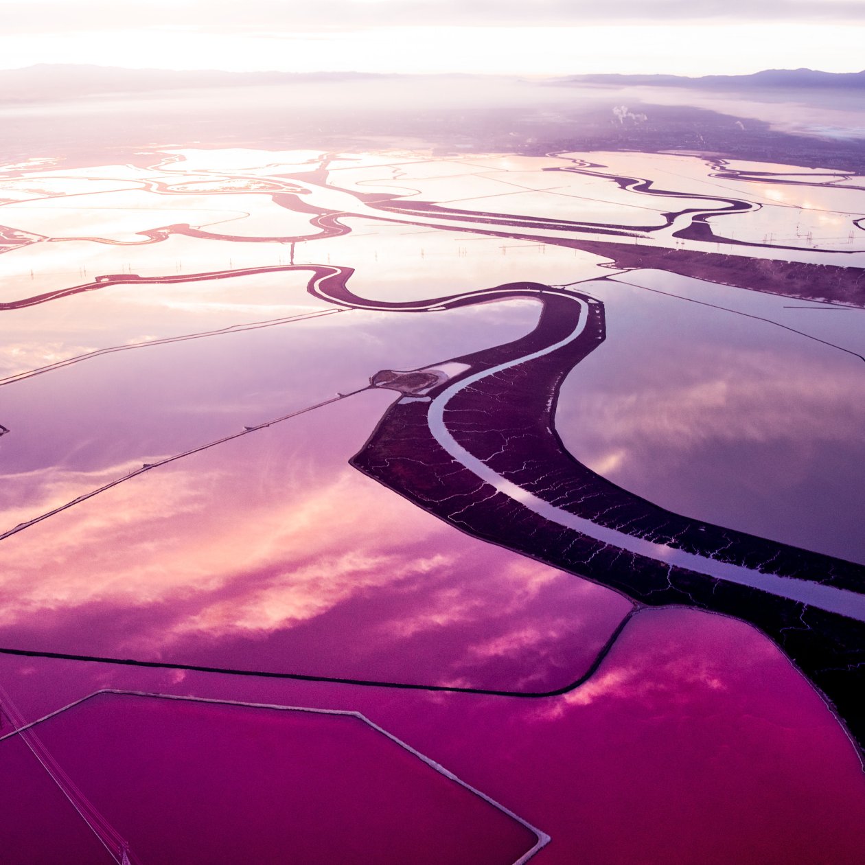 Fields Landscape Abstract