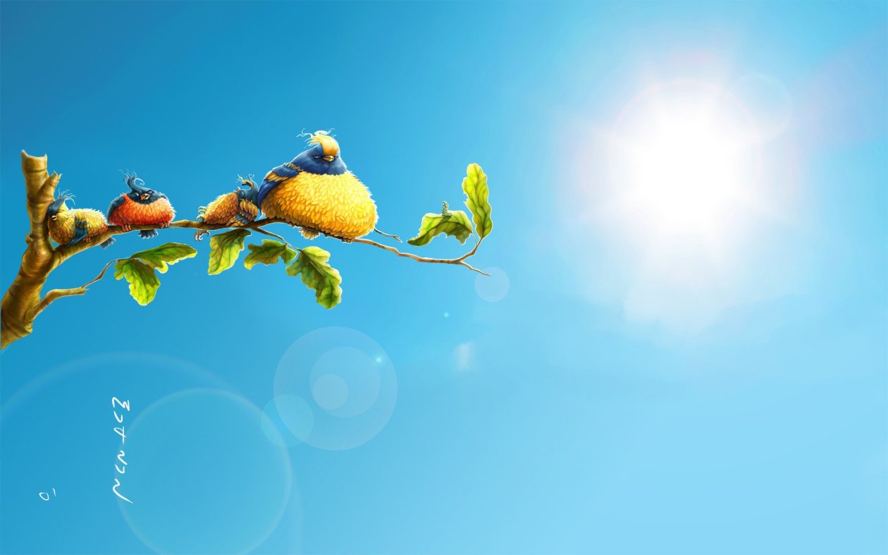 Sun Birds
