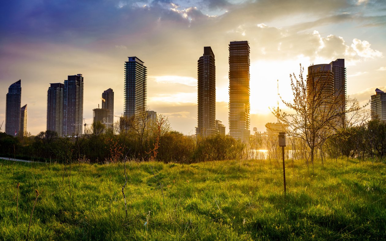 Building Cityscape Grass Sunbeam Sunrise