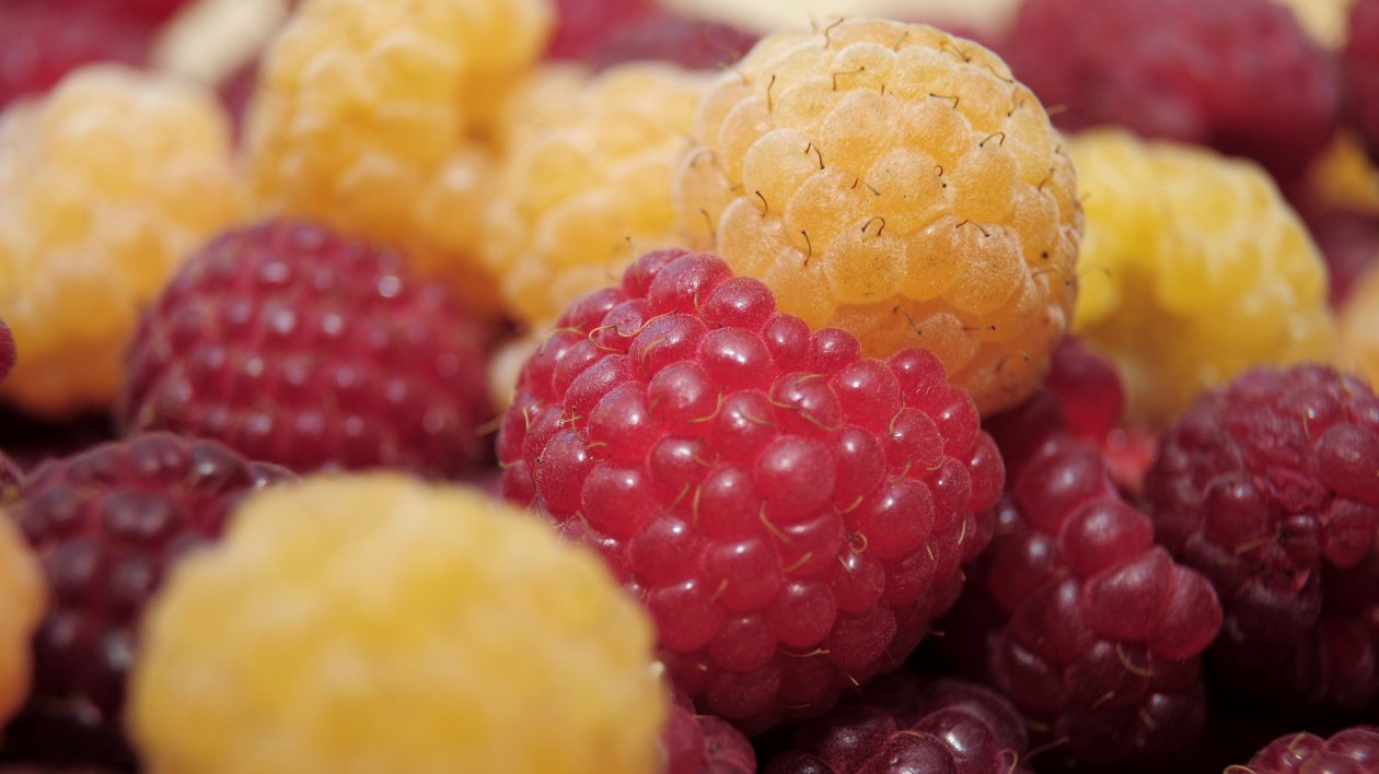 Raspberry