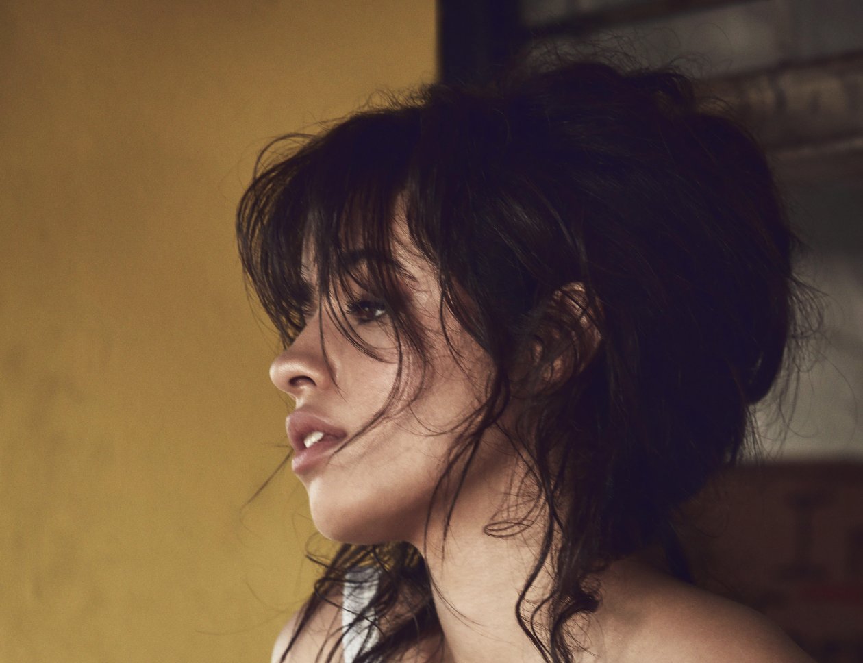 Camila Cabello Ulta Hd 5k