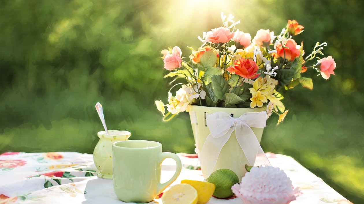 Flowers Pot