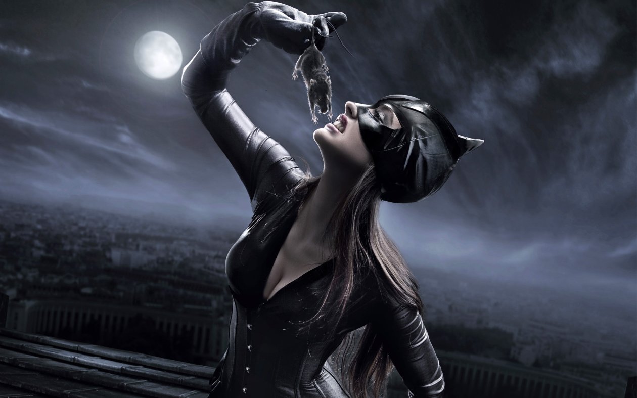 Catwoman Concept