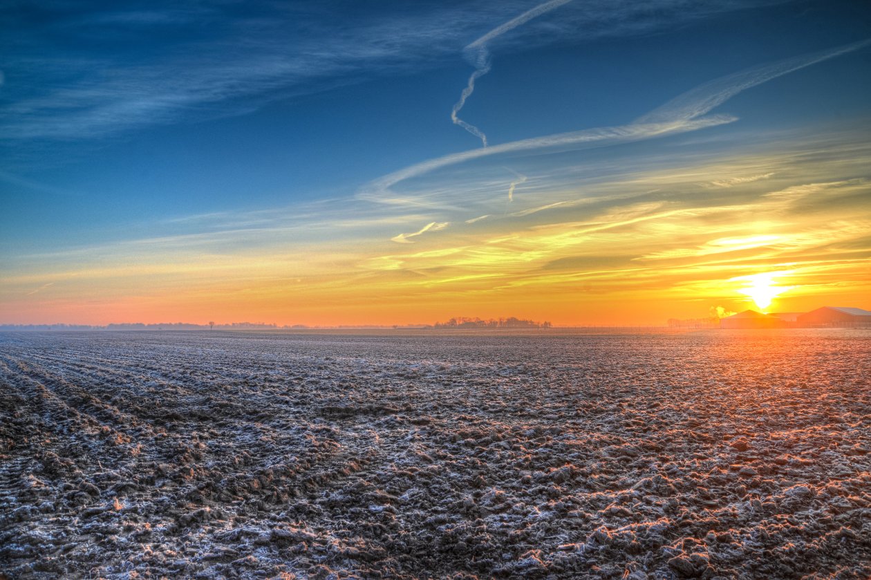 Evening Field During Sunset 5k