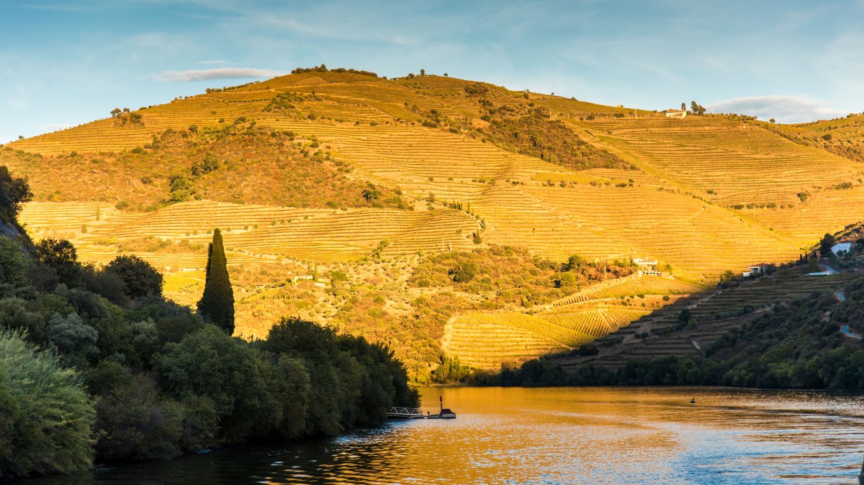 Douro River 8k