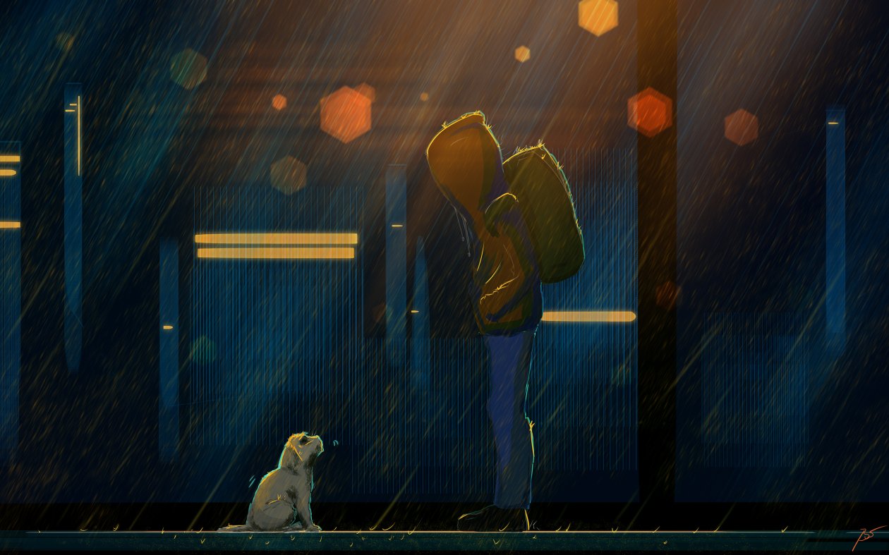 Stray Dogs
