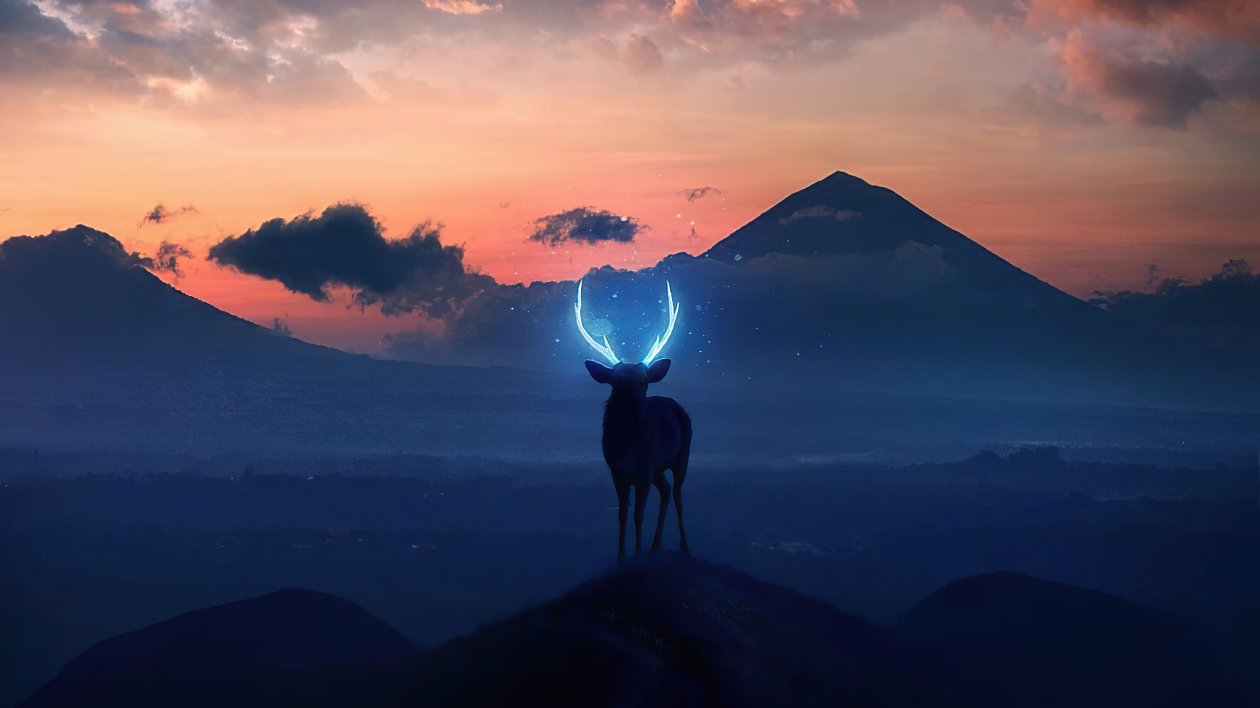 Wild And Free