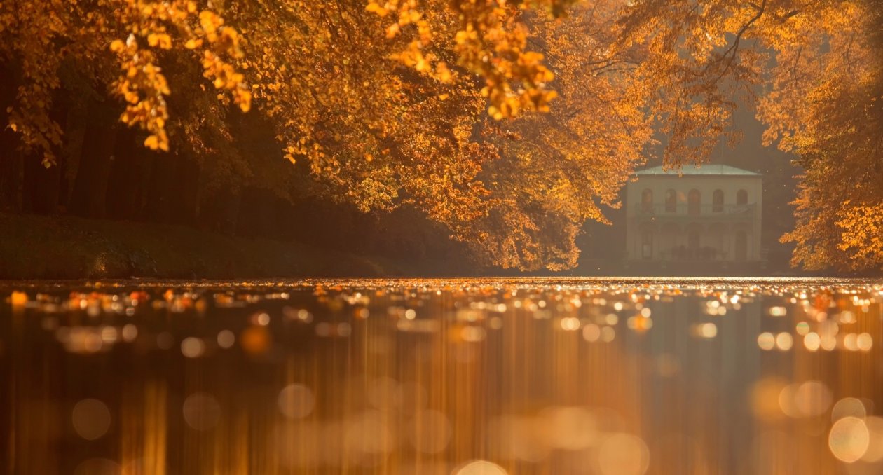 Autumn Nature