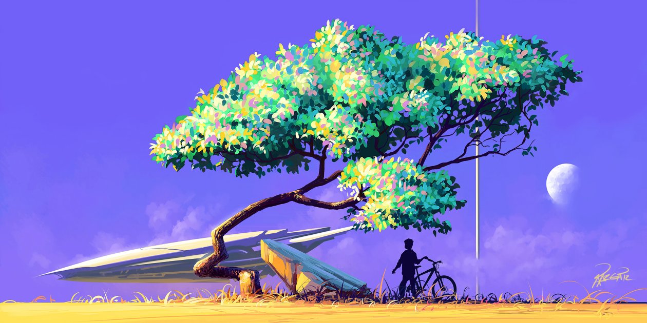 Artistic Nature View Bicycle 4k