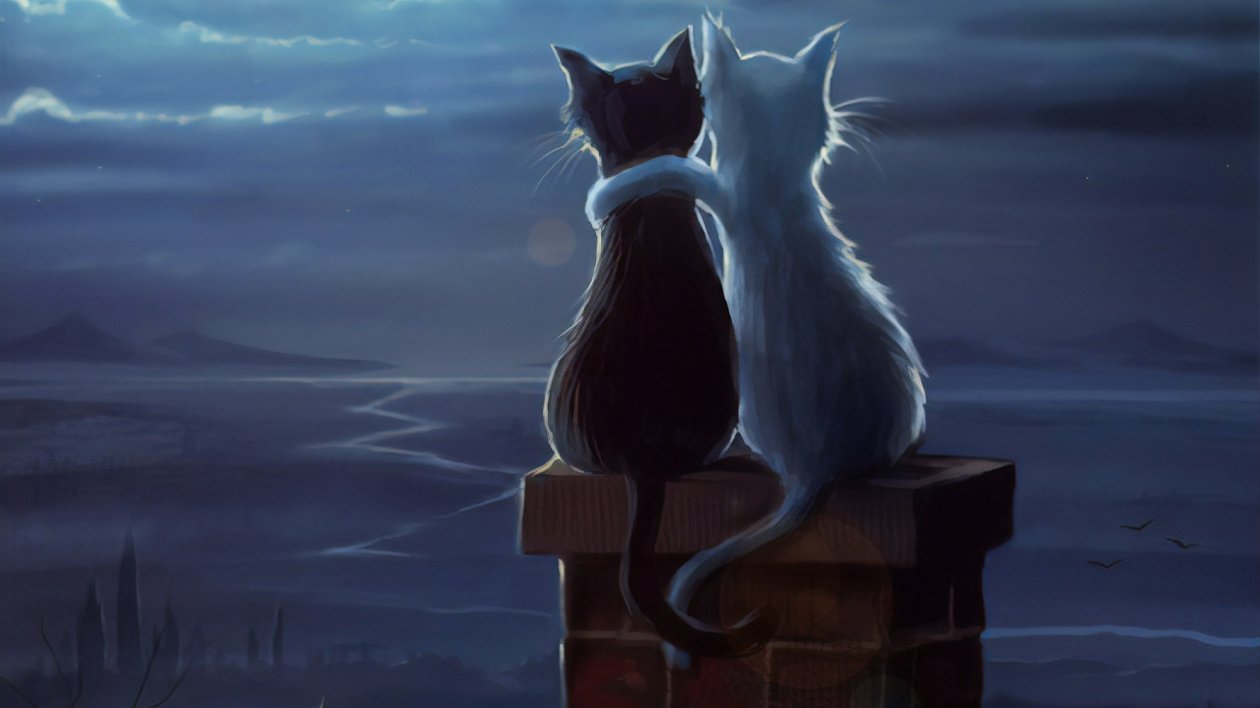 Two Cats On A Roof