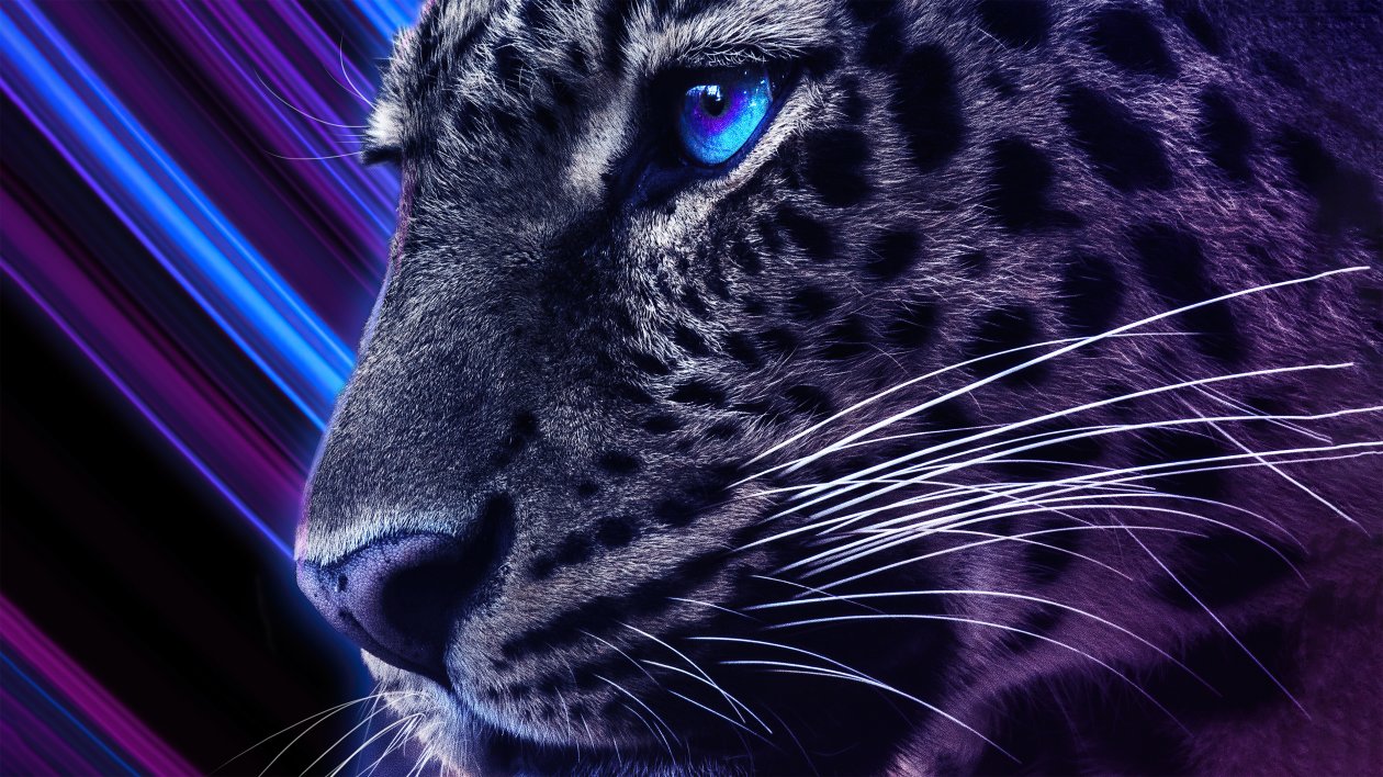 Cheetah Galaxy Eyes 4k