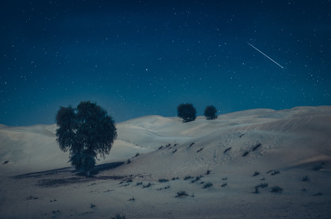 Arabian Desert Dubai