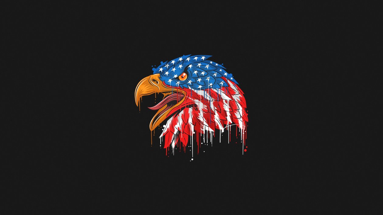American Flag Eagle Minimal 4k