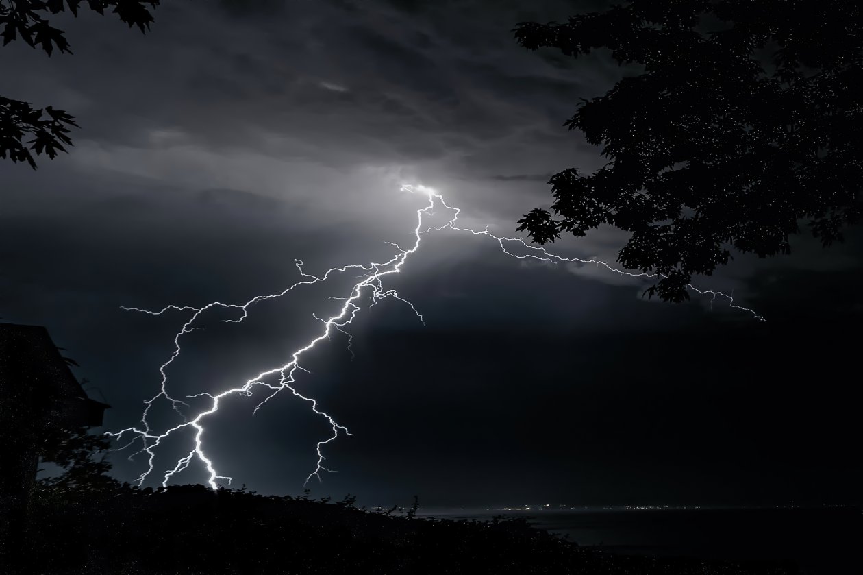 Lightning Strikes On Trees 4k