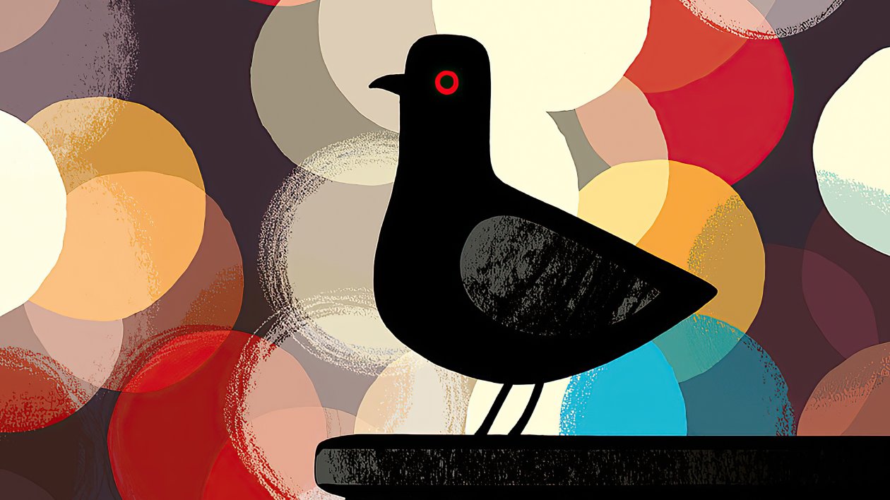 Pigeon Artistic Art